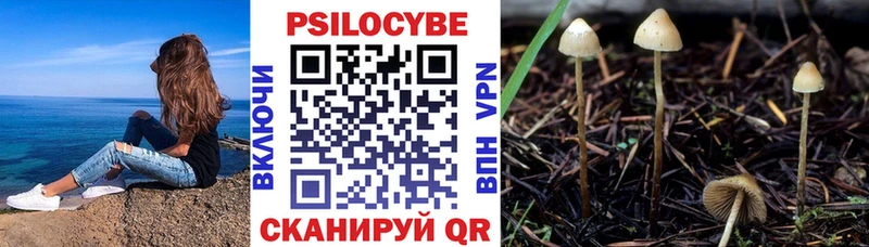 MEGA ссылки маркетплейс какой сайт Зуевка Галлюциногенные грибы мицелий где купить наркоту